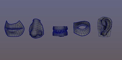 人五官分解 嘴巴模型-人体器官/组织模型库-Maya(.ma/.mb)模型下载-cg模型网