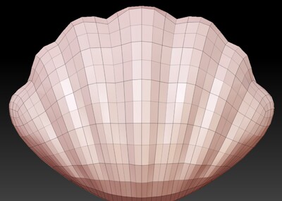 贝壳高模和低模已展uv无贴图