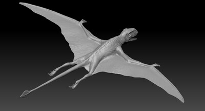 蓓天翼龙属 翼龙 无齿翼龙 恐龙 侏罗纪 灭绝的动物 飞行动物 龙 食肉