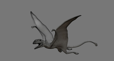 蓓天翼龙属 翼龙 无齿翼龙 恐龙 侏罗纪 灭绝的动物 飞行动物 龙 食肉