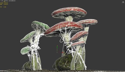 蘑菇 花蘑菇模型-草类模型库-3ds Max(.max)模型下载-cg模型网