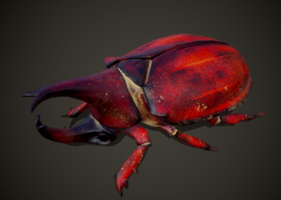 次世代 pbr 甲虫 犀牛甲虫 独角仙 甲壳虫 昆虫 爬虫 红色甲虫 缤纷