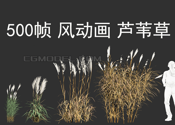 500帧动态景观芦苇草,观赏草,灌木组团,湿地公园,园林绿化,动态树,风