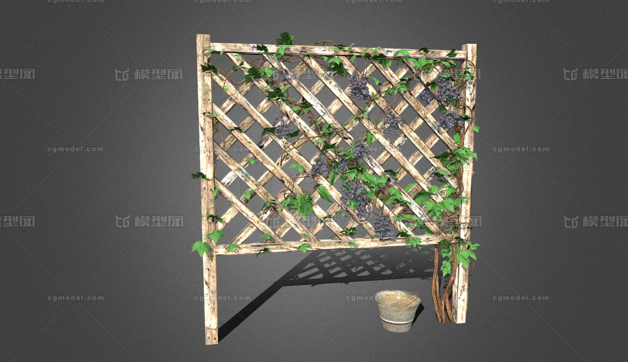 葡萄架,葡萄藤,葡萄,水果,叶子,木架,水果架