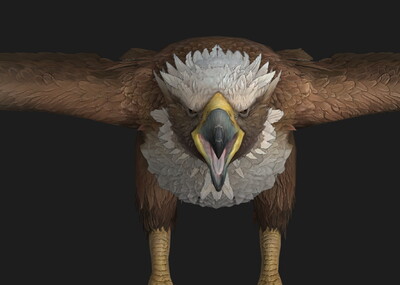 pbr次世代鹰巨鹰鹰王鸟之王