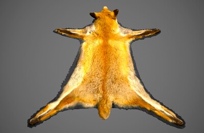 次时代 扫描 狐狸皮 fox 动物皮毛