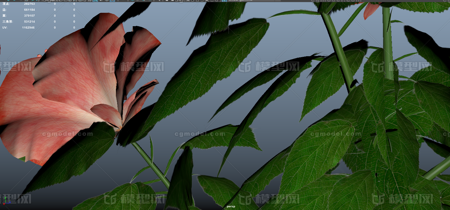 花卉盆栽 花卉插花模型-花卉模型库-Maya(.ma/.mb)模型下载-cg模型网