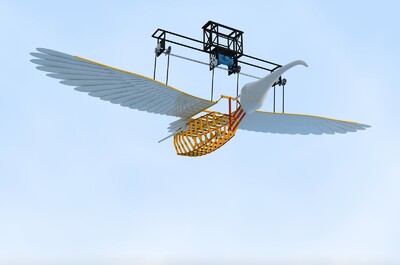 机械鸟,大鸟,翅膀,羽毛,飞翔,飞行的翅膀,鸟,鸟喙,机械装置