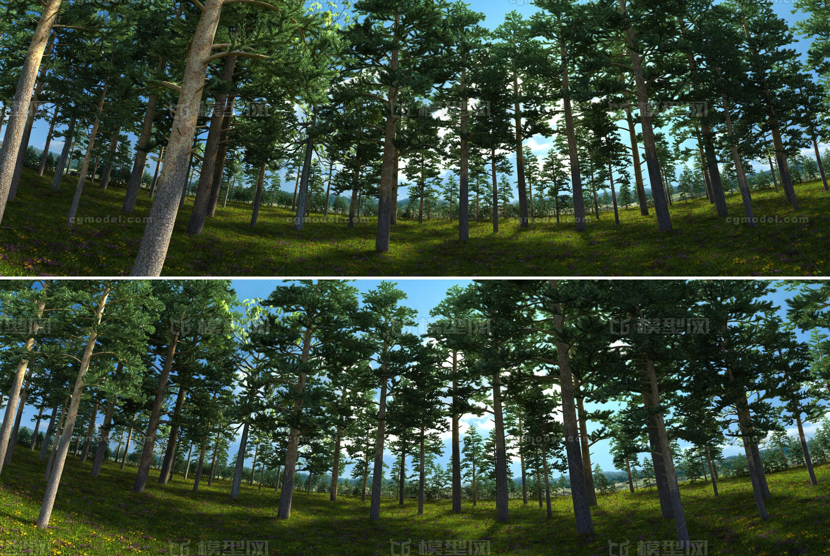 森林公园 树林模型-自然场景模型库-3ds Max(.max)模型下载-cg模型网