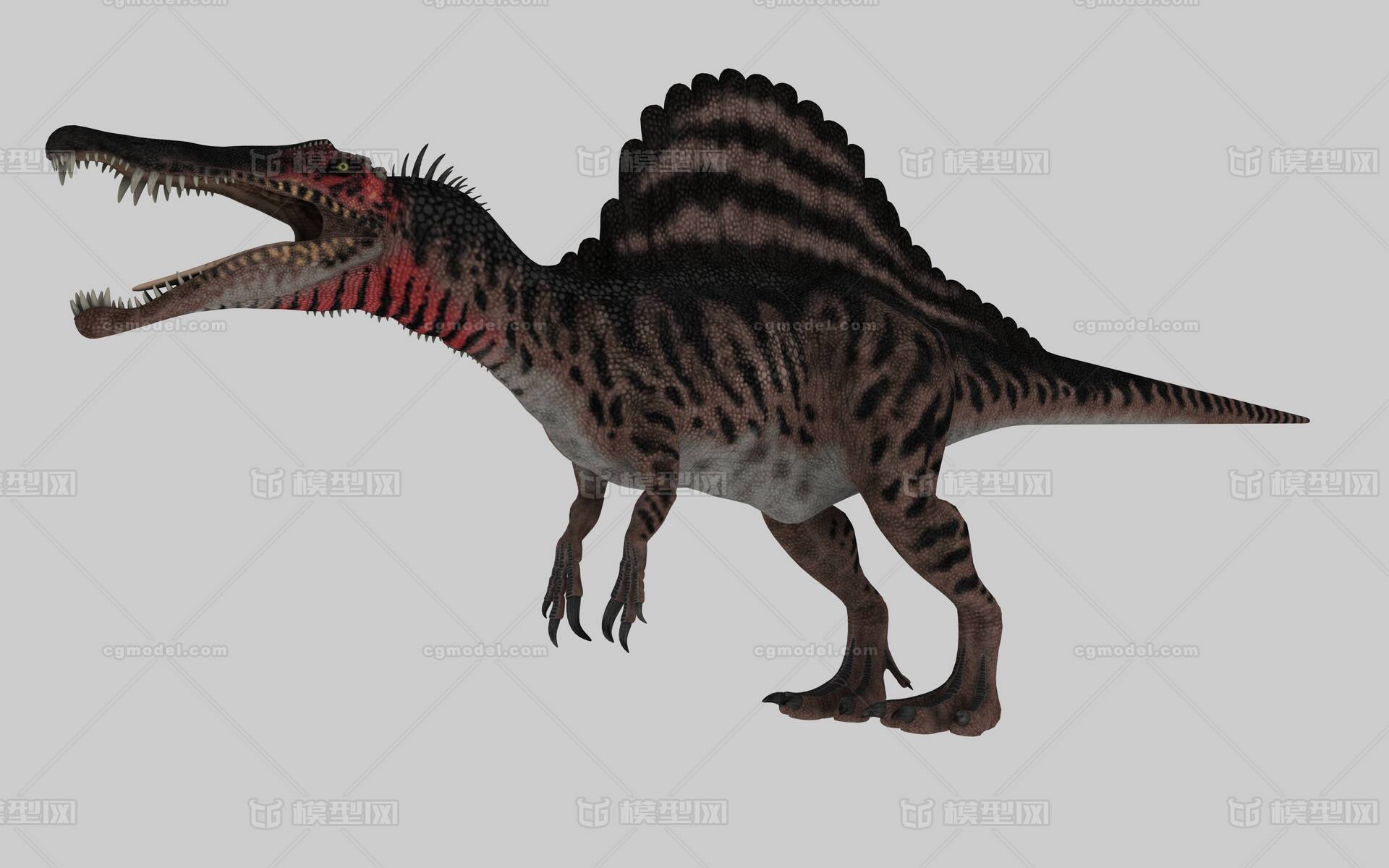 c4d恐龙模型棘龙带贴图原始动物