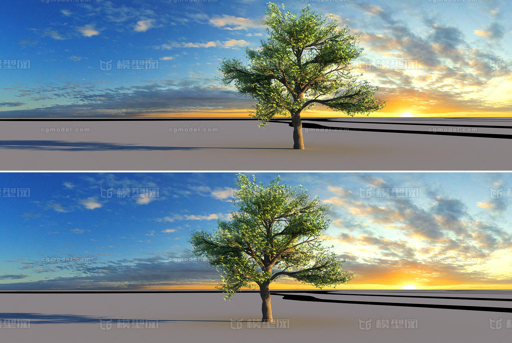 大树 不错的大树 一棵大树 3d场景大树