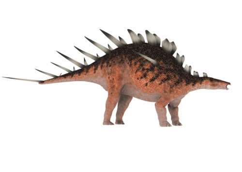 c4d恐龙模型肯氏龙模型带贴图绑定_fanlifeng403作品