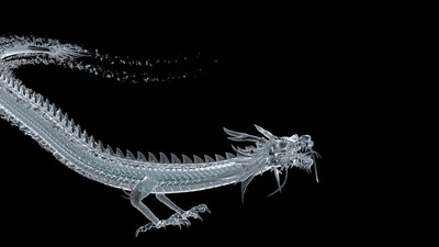 水龙〕 有动画 有水特效 烘焙好 可直用 有序列