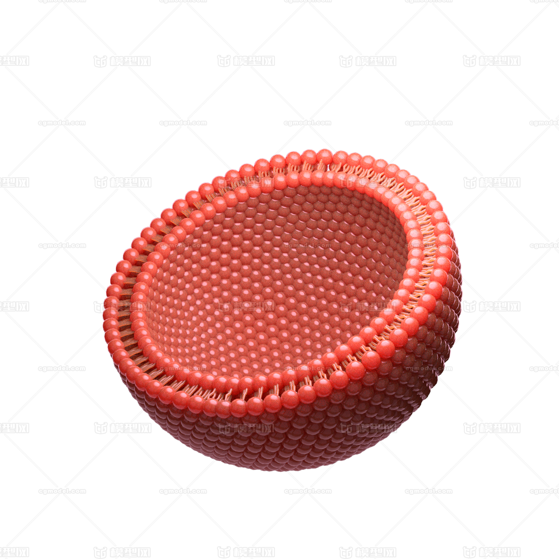 原生动物模型库-maya