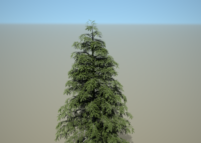 松树模型-树木模型库-FBX(.fbx)模型下载-cg模型网