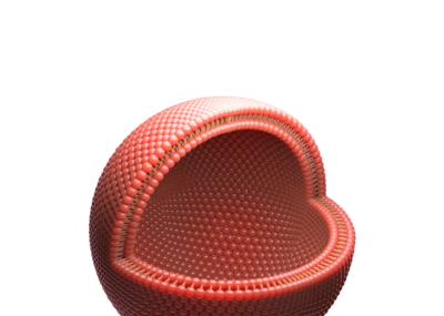 四分之一剖口细胞膜球