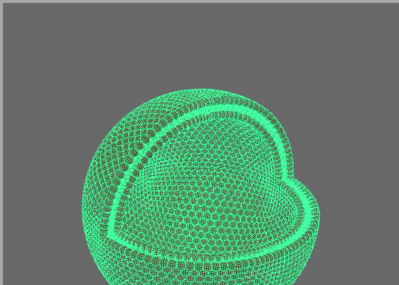 四分之一剖口细胞膜球