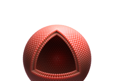 细胞膜八分之一球