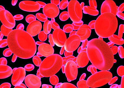 血红细胞 细胞_blablabla.作品_微生物原生动物_cg模型网