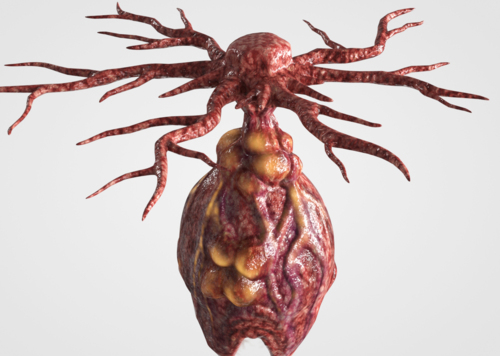 细致科幻普罗米修斯异形恐龙怪物外星生物虫卵蛋 精细蒙皮 可根据需要