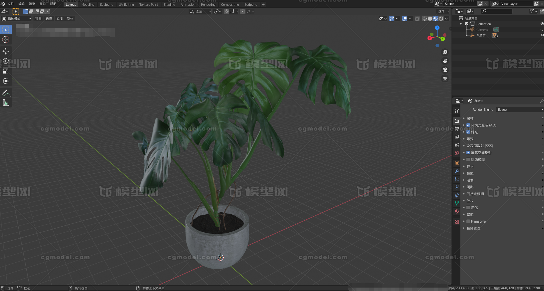 cg cg