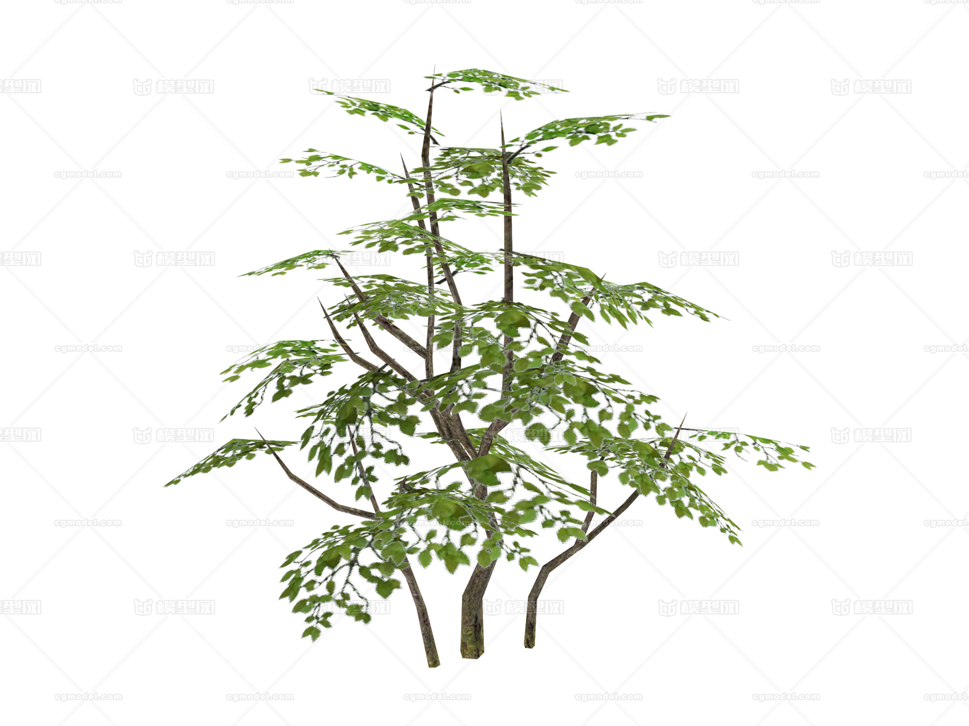 手绘 植物 树木 大树 绿叶树 树枝 小树 模型-树木模型库-3ds Max(.max)模型下载-cg模型网