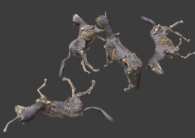 动物尸体 马尸体 腐烂尸体 瘟疫 动物残骸 尸骸 死亡动物 尸骨 恐怖