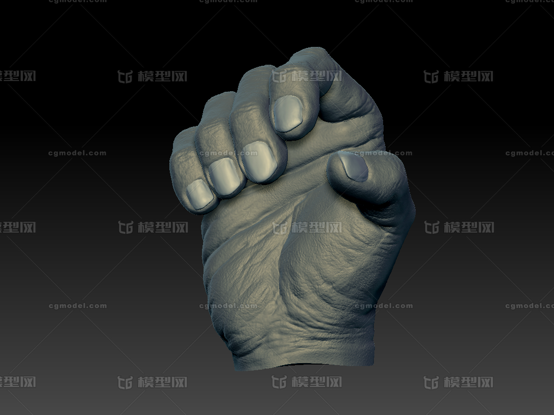 右手姿势 男性模型-人体器官/组织模型库-Zbrush(.ztl/.zbp)模型下载-cg模型网