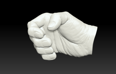 右手姿势 男性模型-人体器官模型库-Zbrush(.ztl/.zbp)模型下载-cg模型网