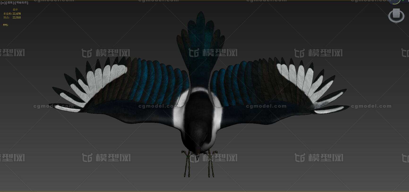 鸟飞鸟 小鸟模型-飞禽模型库-3ds Max(.max)模型下载-cg模型网