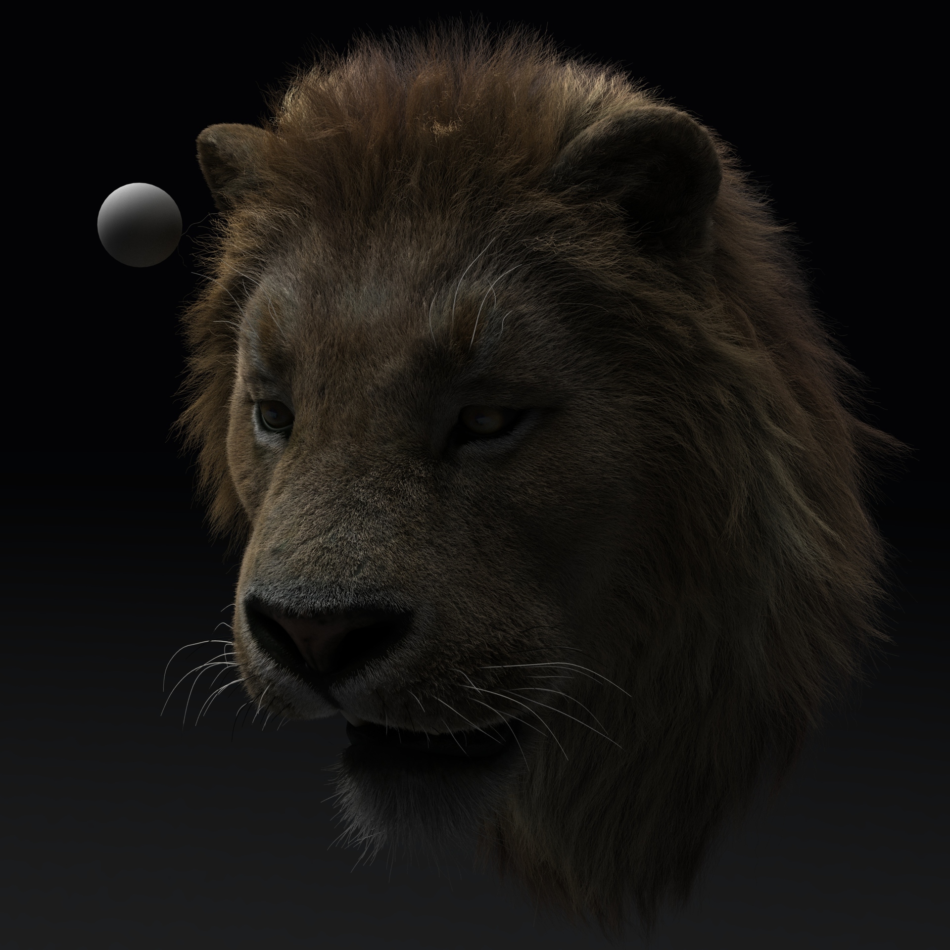 写实狮子yeti毛发案例_基尼太没作品_角色/人物/生物_cg模型网