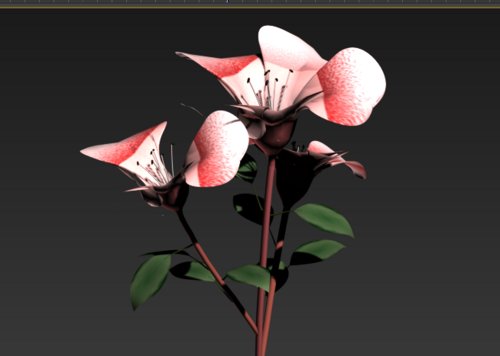 花朵 写实模型-花卉模型库-3ds Max(.max)模型下载-cg模型网