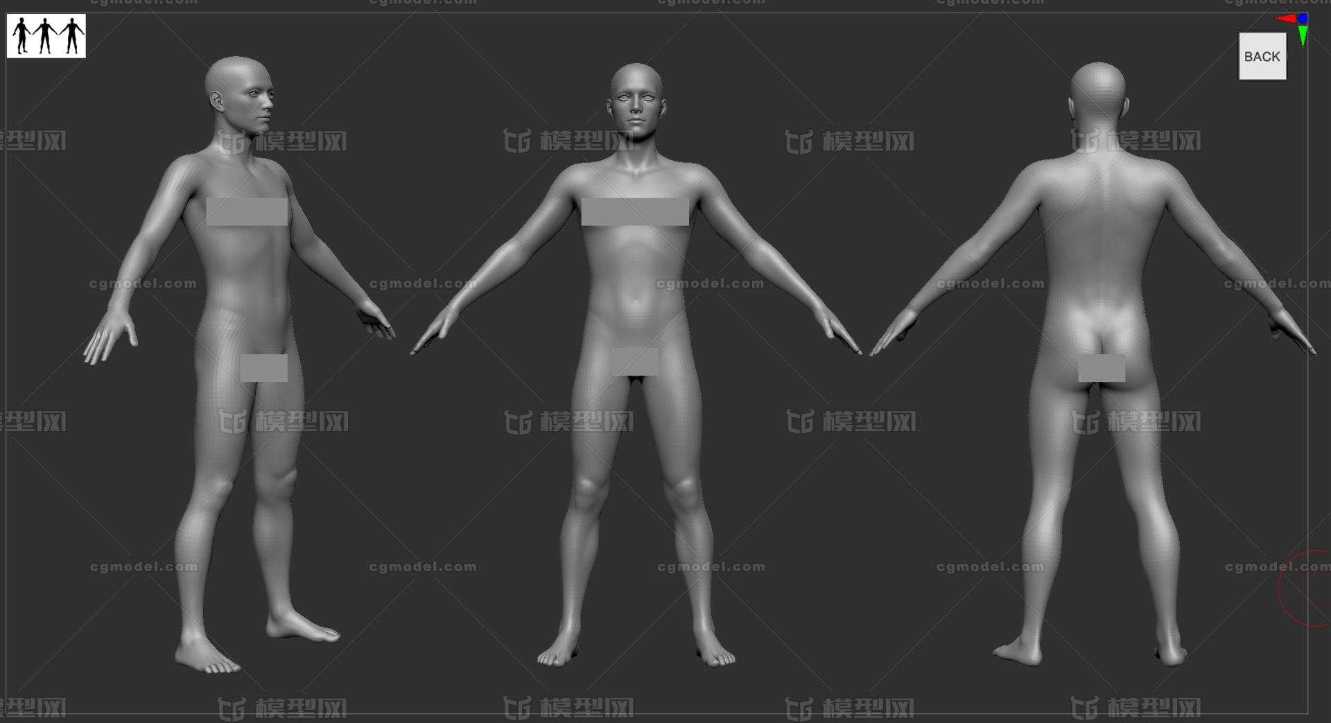 人体基础模型男性基础人体女性基础人体人体裸模daz基础模型zbrush基础人体模型 Cg模型网 Cgmodel 三维设计师交流互动平台 专注多品类3d 模型下载 原创作品分享 软件学习