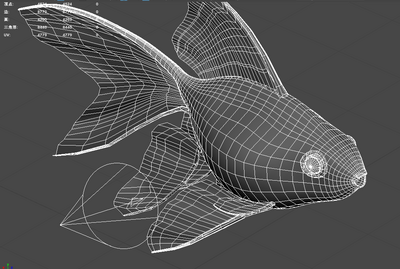 一个金鱼的简单模型