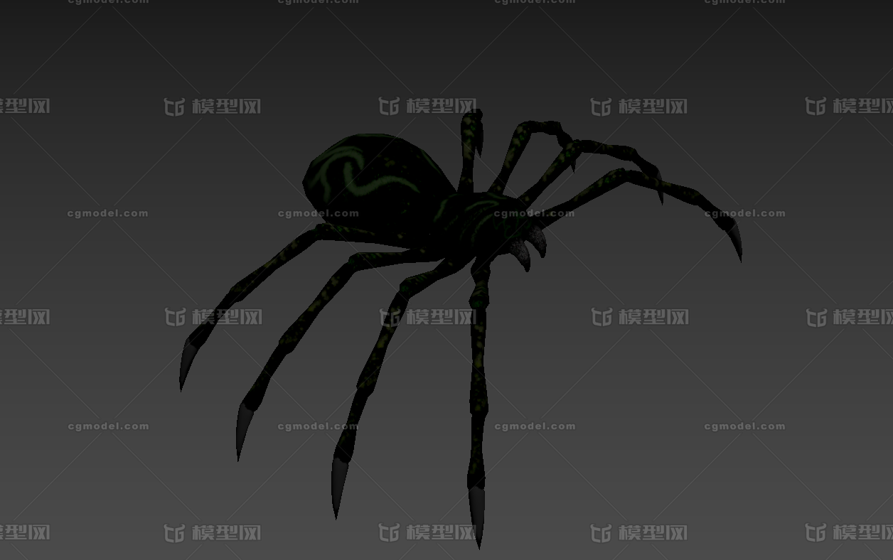 写实蜘蛛 长爪蜘蛛 母蜘蛛 蛛后 八眼巨蛛 巨型蜘