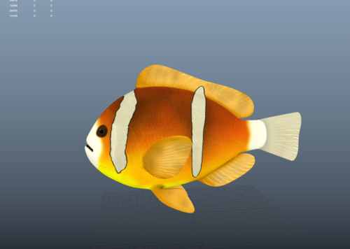 写实小鱼模型贴图