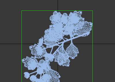 花草 写实模型-花卉模型库-3ds Max(.max)模型下载-cg模型网