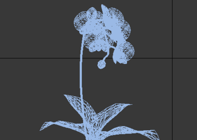 flower41花模型-花卉模型库-3ds Max(.max)模型下载-cg模型网