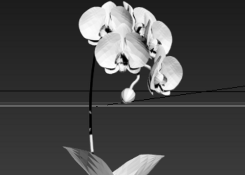 flower41花模型-花卉模型库-3ds Max(.max)模型下载-cg模型网
