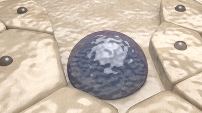 医学动画 成骨细胞 造血细胞 纤维层 骨质层 人体骨骼 血模型-人体器官模型库-3ds Max(.max)模型下载-cg模型网