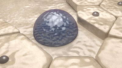 医学动画 成骨细胞 造血细胞 纤维层 骨质层 人体骨骼 血模型-人体器官模型库-3ds Max(.max)模型下载-cg模型网