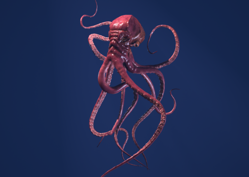 八爪鱼   章鱼    乌贼    巨型乌贼    大海怪    软体动物   墨鱼