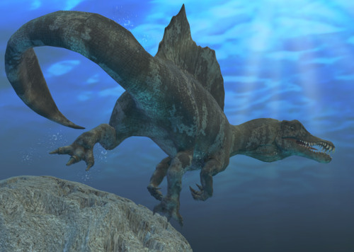 带绑定高脊龙恐龙肉食龙高棘龙