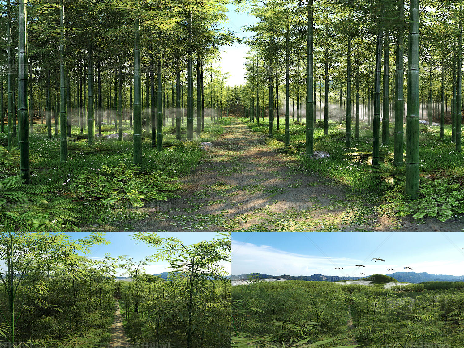 写实竹林竹海3D场景 森林植物模型-自然场景模型库-3ds Max(.max)模型下载-cg模型网