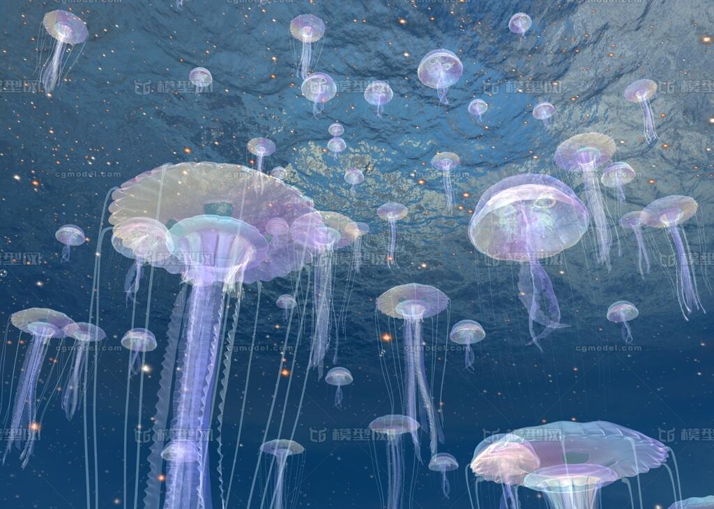 水母水下游动动画场景 水母 水下 海底 影视动画 海底世界 大海 海水