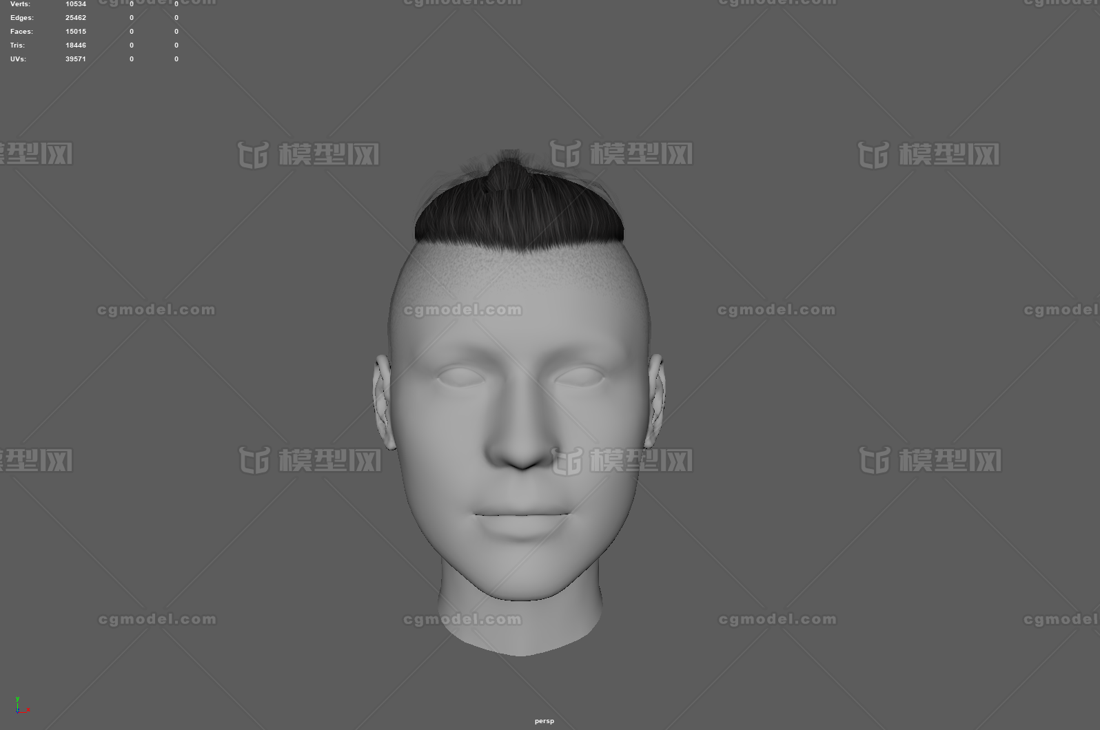 头发 发型 男头发 低面头发 短_(项~作品_人物男人_cg模型网