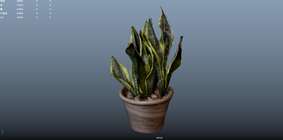盆栽植物 室内花卉模型-花卉模型库-3ds Max(.max)模型下载-cg模型网