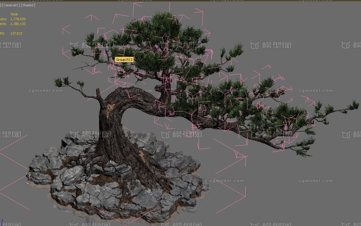 迎客松 松树模型-树木模型库-3ds Max(.max)模型下载-cg模型网
