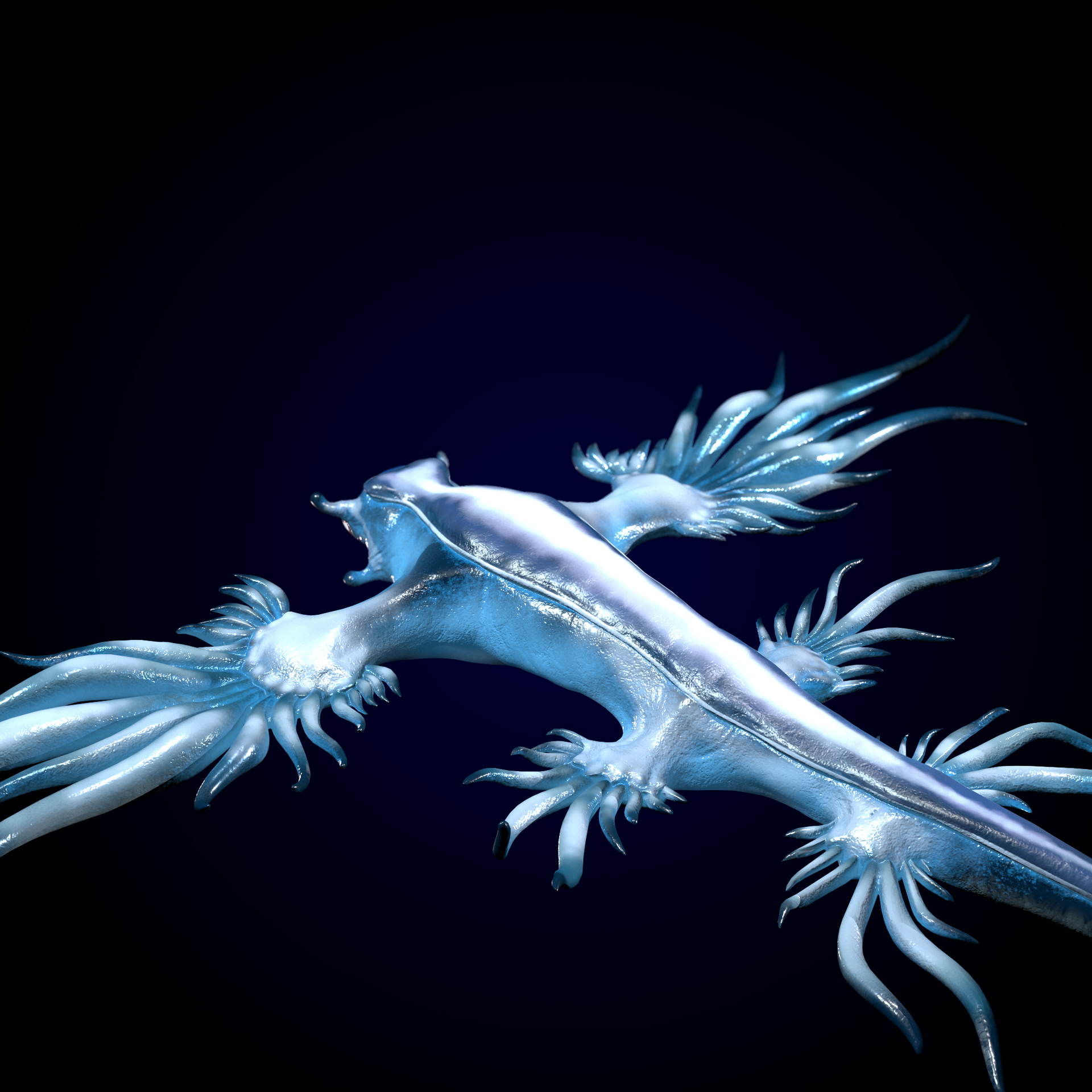 海神鳃_德小胖作品_角色/人物/生物_cg模型网