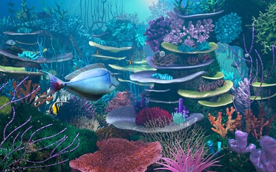 海底 海底世界卡通海底 珊瑚礁_模型制造作品_场景自然场景_cg模型网